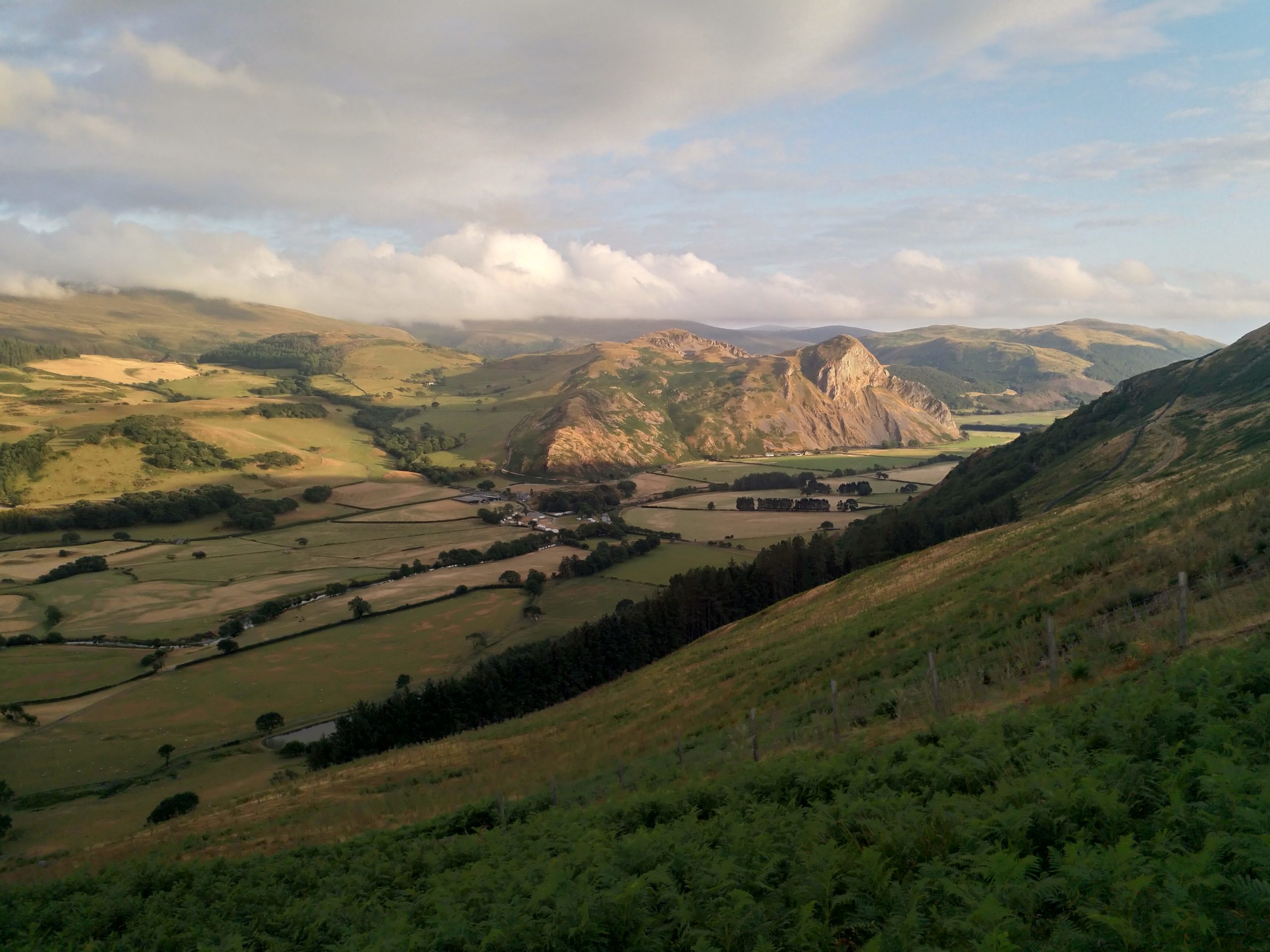 DofE